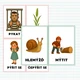 Vyjmenovaná slova - flashcards 2