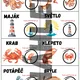 KARTIČKY ROZDĚLENÍ DO DVOJIC - téma PODMOŘSKÝ SVĚT 2