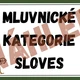 MLUVNICKÉ KATEGORIE SLOVES - SAFARI 4