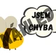 JSEM CHYBA - téma VČELY 2