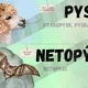Přehled vyjmenovaných slov po P 2