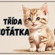 Informační tabulky k vyzdobení třídy- Koťátka 2