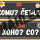 PÁDOVÉ OTÁZKY/PÁDY- téma VČELY 3