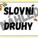 SLOVNÍ DRUHY - téma VČELY 2