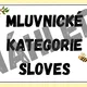MLUVNICKÉ KATEGORIE SLOVES - téma VČELY 2