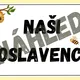 NAROZENINOVNÍK - téma VČELY 4