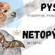 Přehled vyjmenovaných slov po P 3