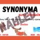 SYNONYMA, ANTONYMA, HOMONYMA - téma JEZEVČÍK 2