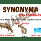 SYNONYMA, ANTONYMA, HOMONYMA - téma SAFARI 2