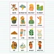 Vyjmenovaná slova - flashcards 3
