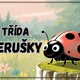 Informační tabulky k vyzdobení třídy- Berušky 2