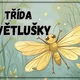 Informační tabulky k vyzdobení třídy- Světlušky  2