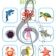 Mořské rytmické bingo 2