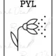 PIKTOGRAMY - Vyjmenovaná slova po P 4