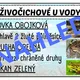 Výukové přehledy- EKOSYSTÉM RYBNÍK, ŘEKA 2
