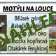 Výukové přehledy- EKOSYSTÉM LOUKA 2