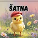 Informační tabulky k vyzdobení třídy- Kuřátka 3