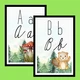 Abeceda les - výzdoba třídy 5