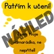 JSEM CHYBA - téma VČELY 4