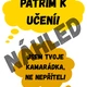JSEM CHYBA - téma VČELY 5