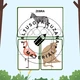 ZOO 6