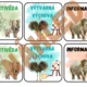 ROZVRH HODIN - téma SAFARI 8