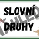 SLOVNÍ DRUHY- téma DINOSAUŘI 3