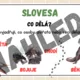 SLOVNÍ DRUHY- téma DINOSAUŘI 5