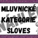 MLUVNICKÉ KATEGORIE SLOVES - téma VESMÍR 4