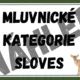 MLUVNICKÉ KATEGORIE SLOVES - téma LES 8