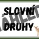 SLOVNÍ DRUHY - téma LES 4