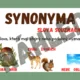 SYNONYMA, ANTONYMA, HOMONYMA - téma LES 2