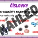 SLOVNÍ DRUHY - téma PODMOŘSKÝ SVĚT 2