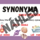 SYNONYMA, ANTONYMA, HOMONYMA - téma PODMOŘSKÝ SVĚT 3