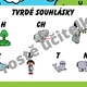 Plakáty pro český jazyk ZOO 4