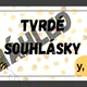MĚKKÉ A TVRDÉ SOUHLÁSKY - téma VČELY 5