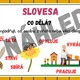 SLOVNÍ DRUHY - téma VČELY 4