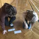 Zvýhodněný balíček materiálů - 7. ročník (2. pololetí) 4