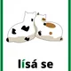 Záludné dvojice - vyjmenovaná slova po B a L 4