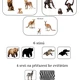 Zvířátka ze zoo 1 2