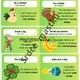 English idioms (cards) 2