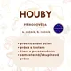 Houby 2