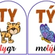 Tvrdé a měkké souhlásky  5