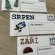 Set k výzdobě třídy - LES 8