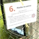 Cesta za pokladem 2
