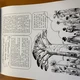 BAOBAB - zábavná brožura plná informací 7