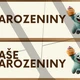 Narozeninovník - kouzelný les  2
