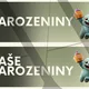 Balíček výzdoby pro 1. stupeň - kouzelný les 8