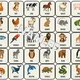 Pexeso - Animals 2