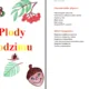 Týdenní příprava do MŠ: Plody podzimu 2